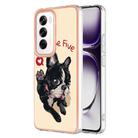 For OPPO Reno12 Global Electroplating Marble Dual-side IMD Phone Case(Lucky Dog) - 1