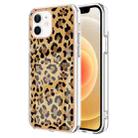 For iPhone 12 / 12 Pro Electroplating Marble Dual-side IMD Phone Case(Leopard Print) - 1