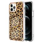 For iPhone 12 Pro Max Electroplating Marble Dual-side IMD Phone Case(Leopard Print) - 1