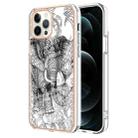 For iPhone 12 Pro Max Electroplating Marble Dual-side IMD Phone Case(Totem Elephant) - 1