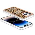 For iPhone 16 Pro Max Electroplating Marble Dual-side IMD Phone Case(Leopard Print) - 3