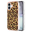 For iPhone 16 Plus Electroplating Marble Dual-side IMD Phone Case(Leopard Print) - 1