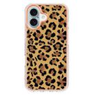 For iPhone 16 Plus Electroplating Marble Dual-side IMD Phone Case(Leopard Print) - 2