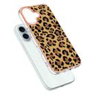 For iPhone 16 Plus Electroplating Marble Dual-side IMD Phone Case(Leopard Print) - 3