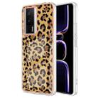 For Xiaomi Poco F5 Pro 5G / Redmi K60 Electroplating Marble Dual-side IMD Phone Case(Leopard Print) - 1