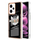 For Xiaomi Redmi Note 12 Pro 5G Global Electroplating Marble Dual-side IMD Phone Case(Natural Growth) - 1