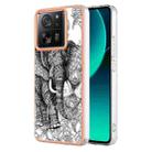 For Xiaomi 13T/13T Pro Electroplating Marble Dual-side IMD Phone Case(Totem Elephant) - 1