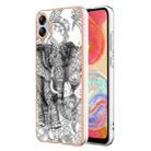 For Samsung Galaxy A04e Electroplating Marble Dual-side IMD Phone Case(Totem Elephant) - 1