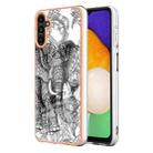 For Samsung Galaxy A54 5G Electroplating Marble Dual-side IMD Phone Case(Totem Elephant) - 1