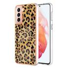 For Samsung Galaxy S21 5G Electroplating Marble Dual-side IMD Phone Case(Leopard Print) - 1