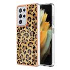 For Samsung Galaxy S21 Ultra 5G Electroplating Marble Dual-side IMD Phone Case(Leopard Print) - 1