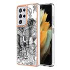For Samsung Galaxy S21 Ultra 5G Electroplating Marble Dual-side IMD Phone Case(Totem Elephant) - 1