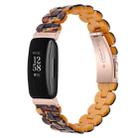 For Fitbit Inspire 3 Oval Resin Replacement Watch Band(Leopard) - 1