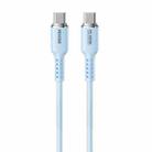 WK WDC-11 100W USB-C/Type-C to USB-C/Type-C Silicone Data Cable, Length: 1.2m(Blue) - 1