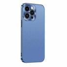 For iPhone 14 Pro Starshine Frosted Series Airbag Shockproof Phone Case(Blue) - 1