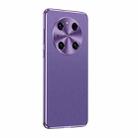 For Huawei Mate 40 Pro Starshine Frosted Series Airbag Shockproof Phone Case(Purple) - 1