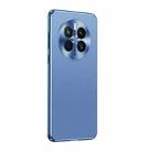 For Huawei Mate 50 Pro Starshine Frosted Series Airbag Shockproof Phone Case(Blue) - 1