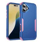 For iPhone 16 Plus Commuter Shockproof TPU + PC Phone Case(Royal Blue+Pink) - 1