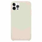 For iPhone 16 Pro Solid Silicone Phone Case(Beige) - 1