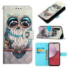 For Samsung Galaxy S23 FE 5G 3D Painting Horizontal Flip Leather Phone Case(Grey Owl) - 1