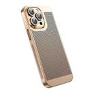 For iPhone 12 Pro Max Ice Sense Heat Dissipation Electroplating PC Phone Case(Champagne Gold) - 1