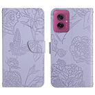 For Motorola Moto G55 5G HT03 Skin Feel Butterfly Embossed Flip Leather Phone Case(Purple) - 1