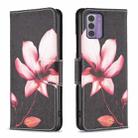 For Nokia G42/G310 Colored Drawing Leather Phone Case(Lotus) - 1