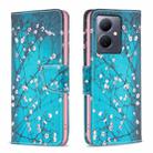 For vivo Y78 5G Colored Drawing Pattern Leather Phone Case(Plum Blossom) - 1