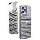 For iPhone 15 Pro Aromatherapy Aluminum Alloy Cooling Phone Case(Silver) - 1