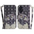 For Honor 200 3D Colored Horizontal Flip Leather Phone Case(Hug Cat) - 1