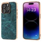 For iPhone 14 Pro Dream Litchi Texture PU Phone Case(Blue) - 1