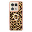 For Motorola Edge 50 Ultra Electroplating Dual-side IMD Phone Case with Ring Holder(Leopard Print) - 2