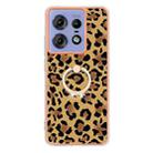 For Motorola Edge 50 Pro Electroplating Dual-side IMD Phone Case with Ring Holder(Leopard Print) - 2