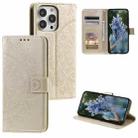 For iPhone 15 Pro Max Totem Flower Embossed Leather Phone Case(Gold) - 1