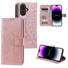 For iPhone 16 Plus Totem Flower Embossed Leather Phone Case(Rose Gold) - 1