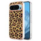 For Google Pixel 9 Electroplating Dual-side IMD Phone Case(Leopard Print) - 1