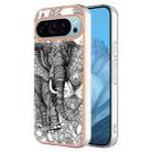 For Google Pixel 9 Electroplating Dual-side IMD Phone Case(Totem Elephant) - 1