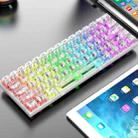 XUNFOX K30 Pro 2.4G + BT + Wired Transparent 61-Keys Mechanical White Axis Keyboard(White) - 1