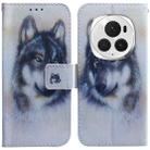 For Honor Magic6 Pro Coloured Drawing Flip Leather Phone Case(White Wolf) - 1