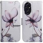 For Honor 200 Coloured Drawing Flip Leather Phone Case(Magnolia) - 1