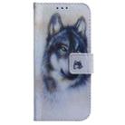 For Honor X60i Coloured Drawing Flip Leather Phone Case(White Wolf) - 2