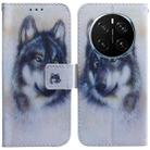 For Honor Magic7 Pro Coloured Drawing Flip Leather Phone Case(White Wolf) - 1