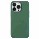 For iPhone 13 Pro Max Liquid Silicone Phone Case(Clover Green) - 1