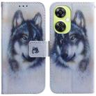 For OnePlus Nord CE 3 Lite/Nord N30 Coloured Drawing Flip Leather Phone Case(White Wolf) - 1