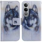 For OnePlus Nord CE4 5G Coloured Drawing Flip Leather Phone Case(White Wolf) - 1