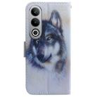 For OnePlus Nord CE4 5G Coloured Drawing Flip Leather Phone Case(White Wolf) - 3