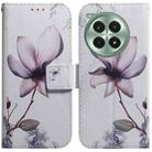 For OnePlus Ace 3 Pro Coloured Drawing Flip Leather Phone Case(Magnolia) - 1