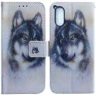 For Sony Xperia 5 V Coloured Drawing Flip Leather Phone Case(White Wolf) - 1