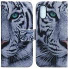 For Sony Xperia 5 V Coloured Drawing Flip Leather Phone Case(Tiger) - 1