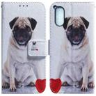 For Sony Xperia 5 V Coloured Drawing Flip Leather Phone Case(Pug) - 1